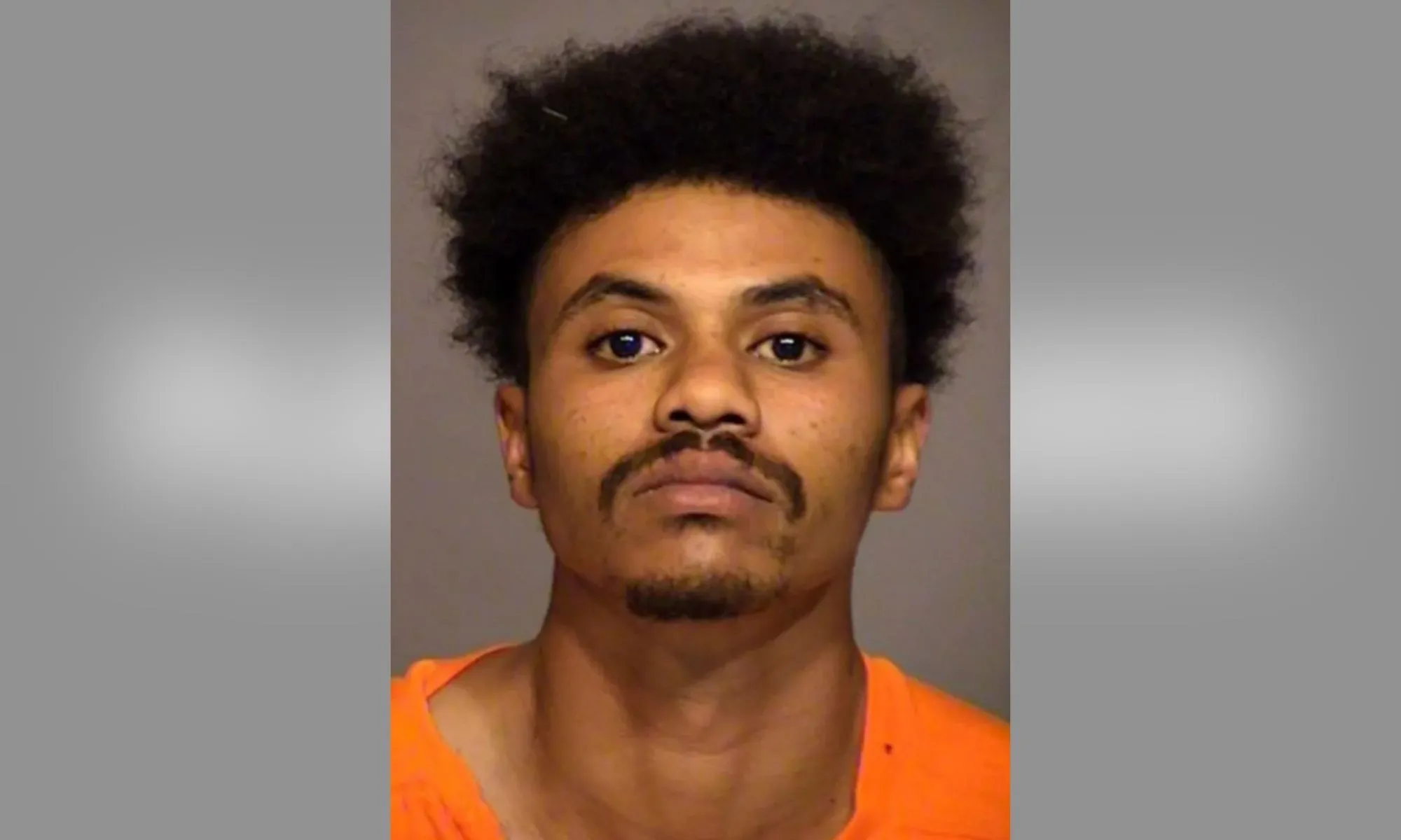 Man Pleads Guilty After His Uncle Walked In On Him Slaughtering His Own 15-Year-Old Brother