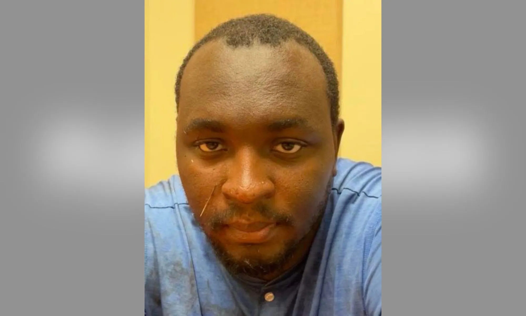 Man Arrested for Repeatedly Stabbing Woman Walking Dog in 'Vicious, Unprovoked' Attack