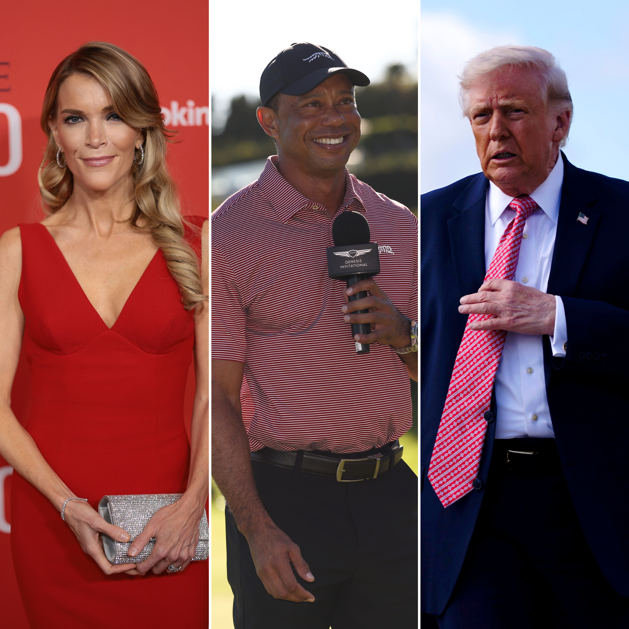 megyn kelly tiger woods donald trump