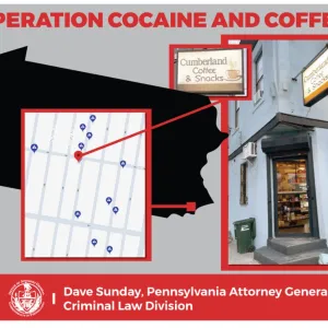 A graphic showing details of the takedown operation
