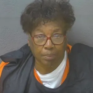 School Bus Driver in Virginia Arrested, Accused of Strangling Student on Way to School