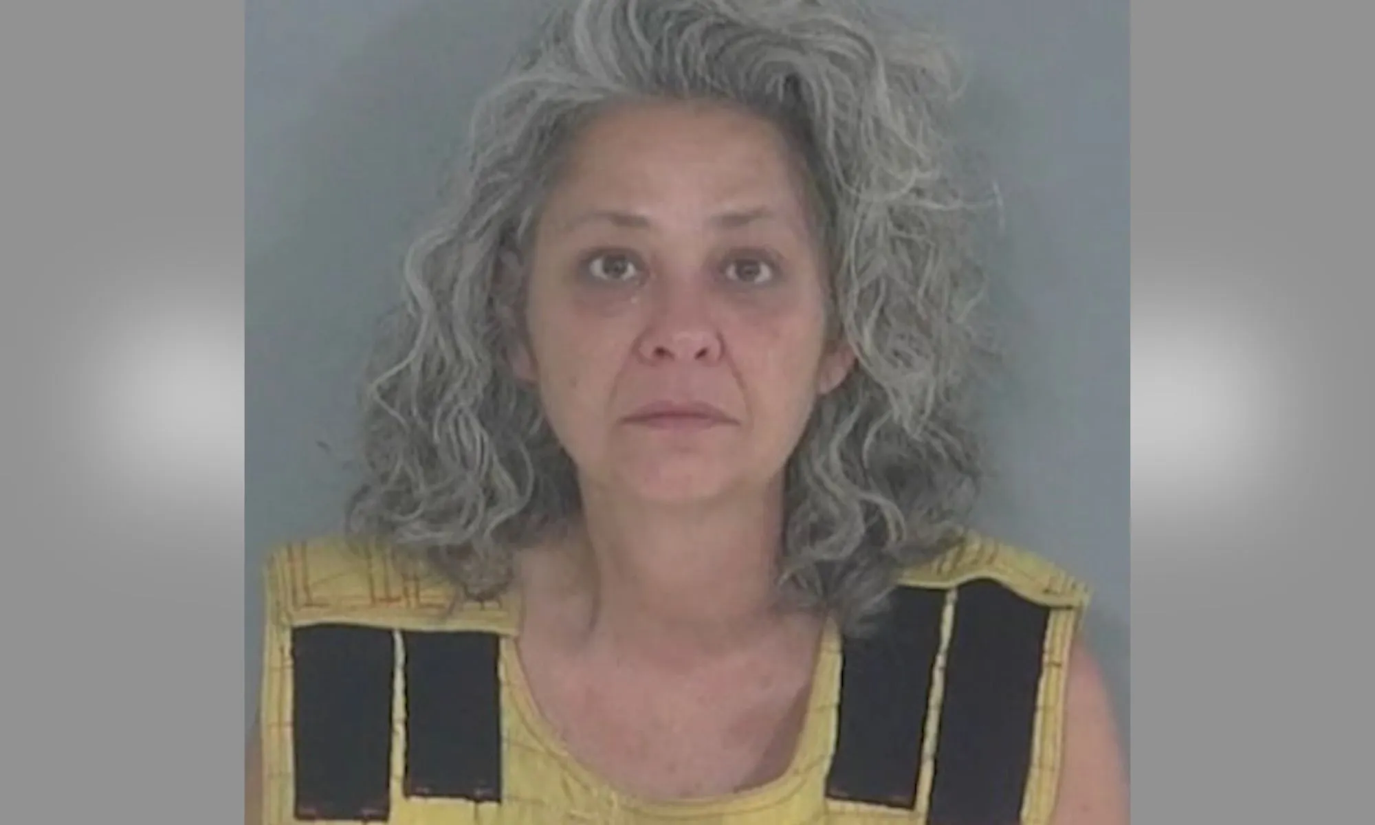 Teacher Nicole Truelove Arrested for Lying About Student Stabbing Her, Causing Lockdown