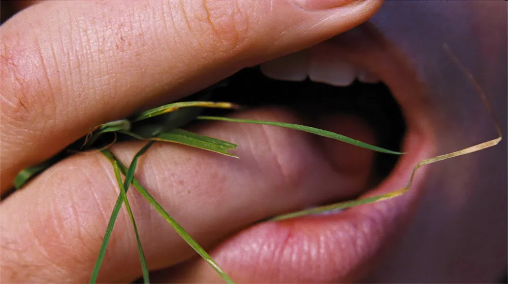 Margot Robbie in Wuthering Heights