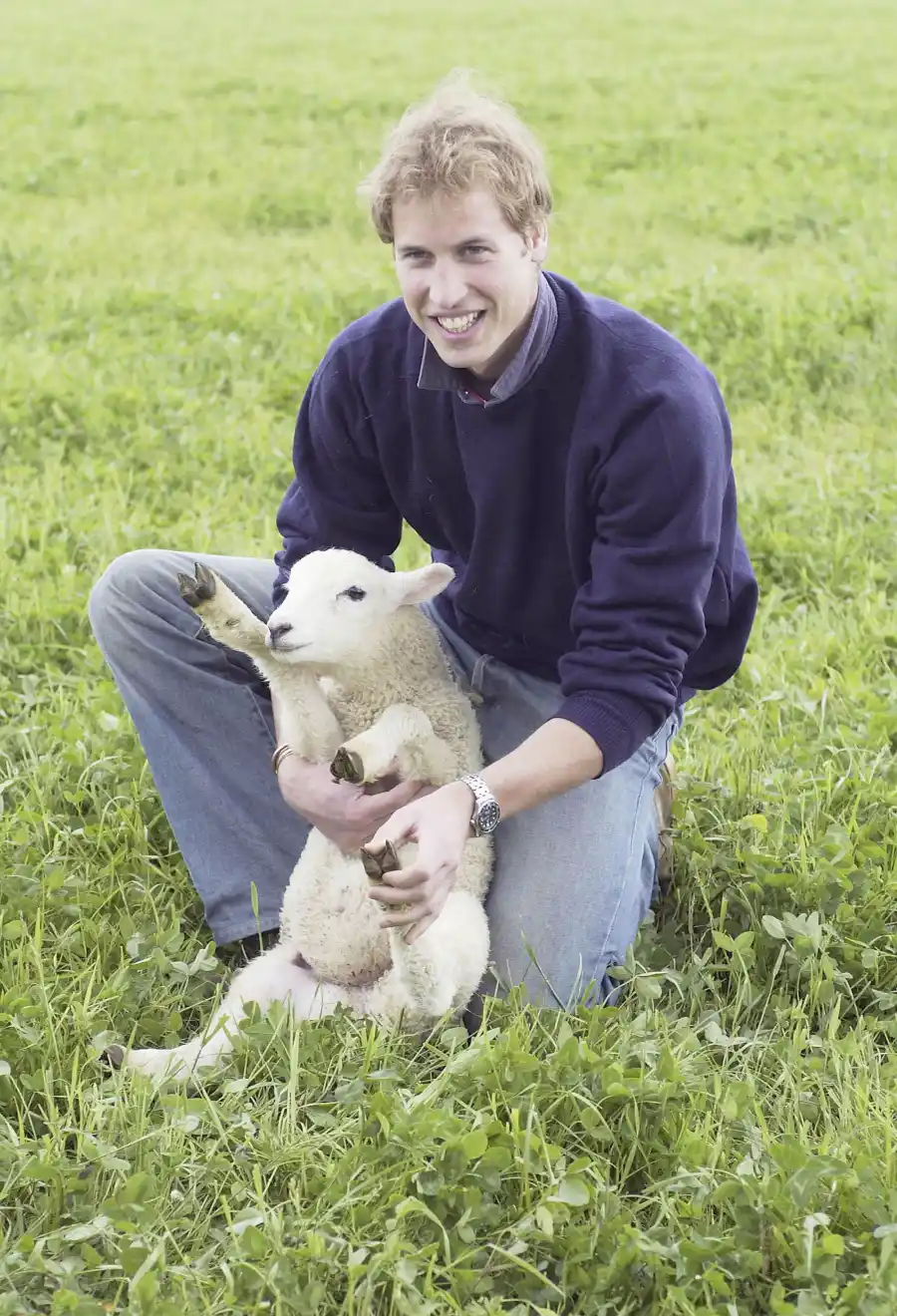 3gettyimages 50909560 584629ee e475 4ebd 8f48 ade235bdb20c