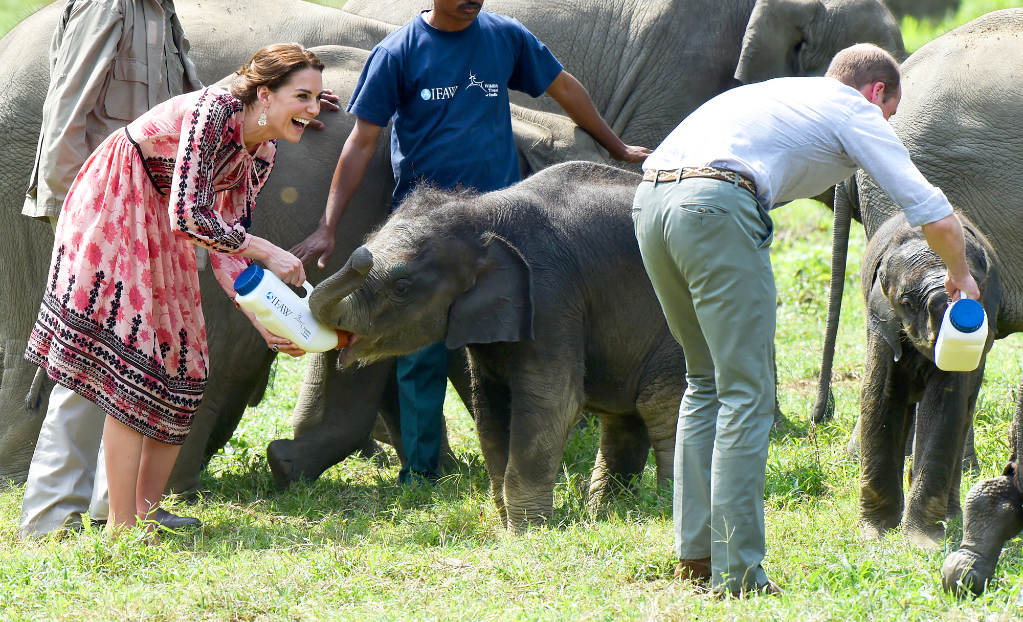 Kate Middleton and Prince William
