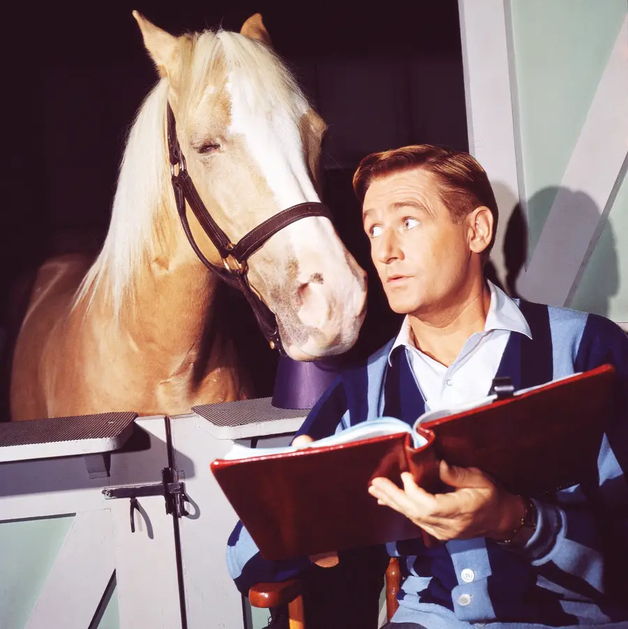 Alan young f4aa82c4 18aa 4617 a7fe 8add51ed2d83