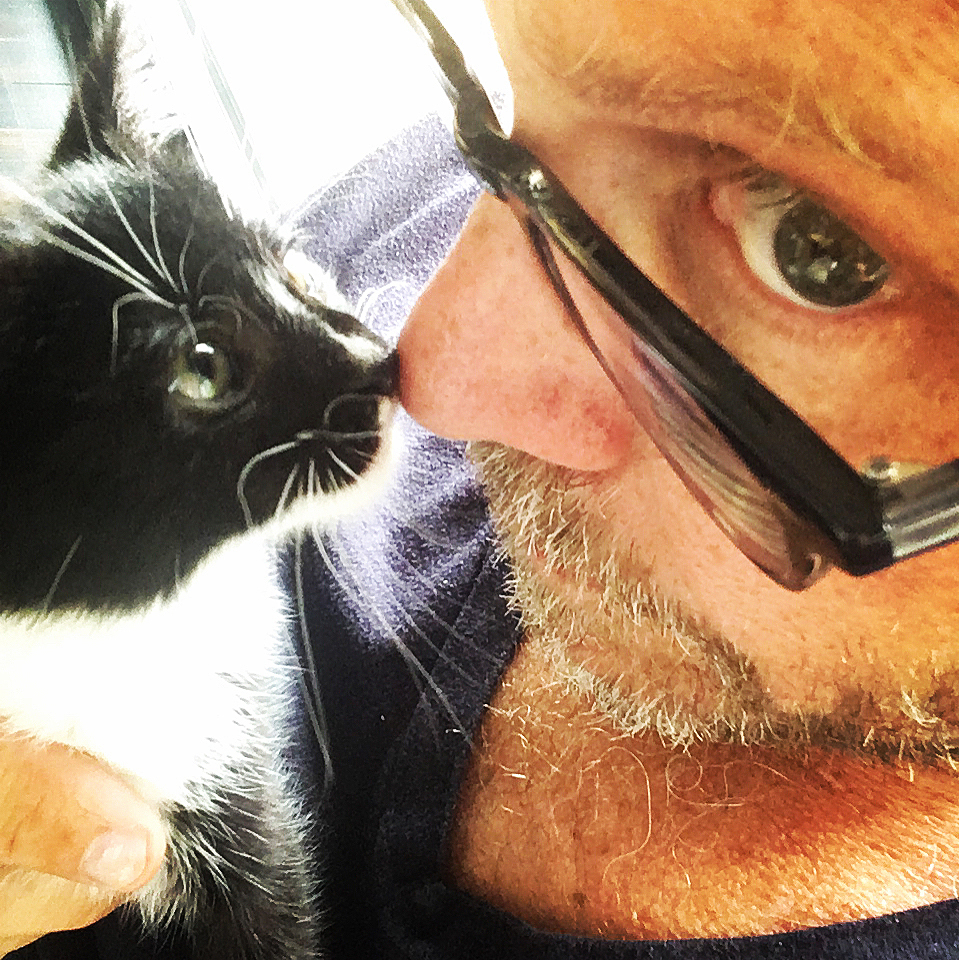 Alton Brown kitten Stir Fry