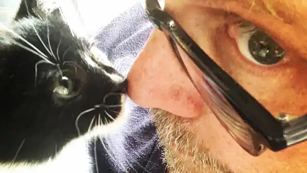 Alton Brown kitten Stir Fry