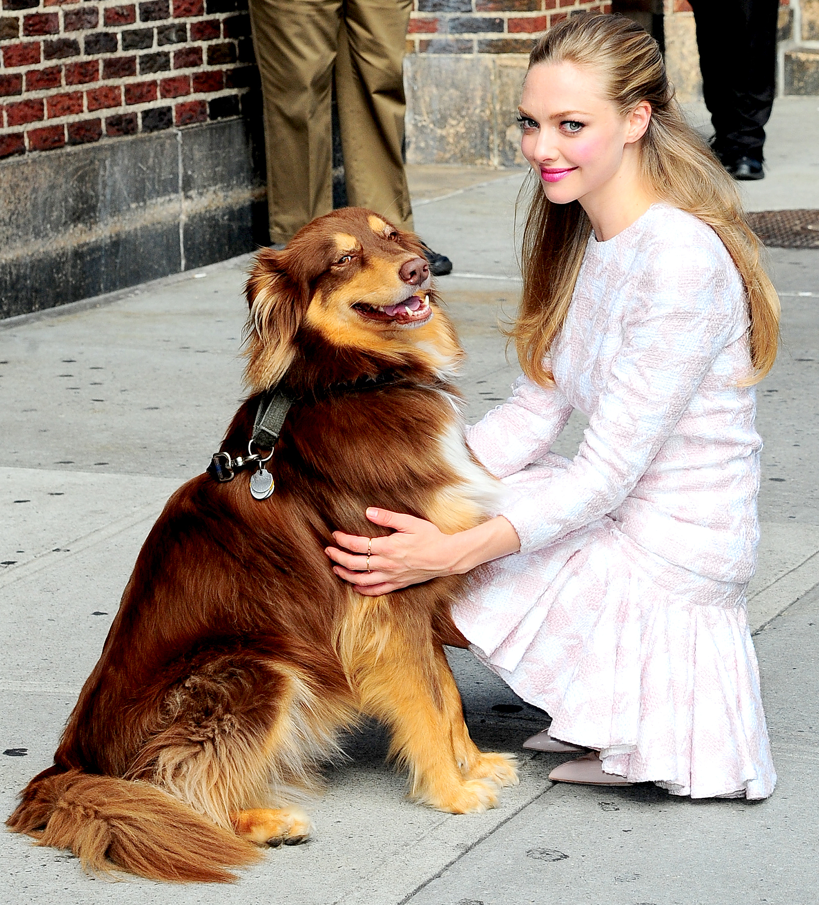 Amanda seyfried dog zoom 3d540f3a 936a 41c1 ab93 83b3e34bb2a9