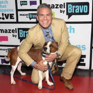 Andy Cohen