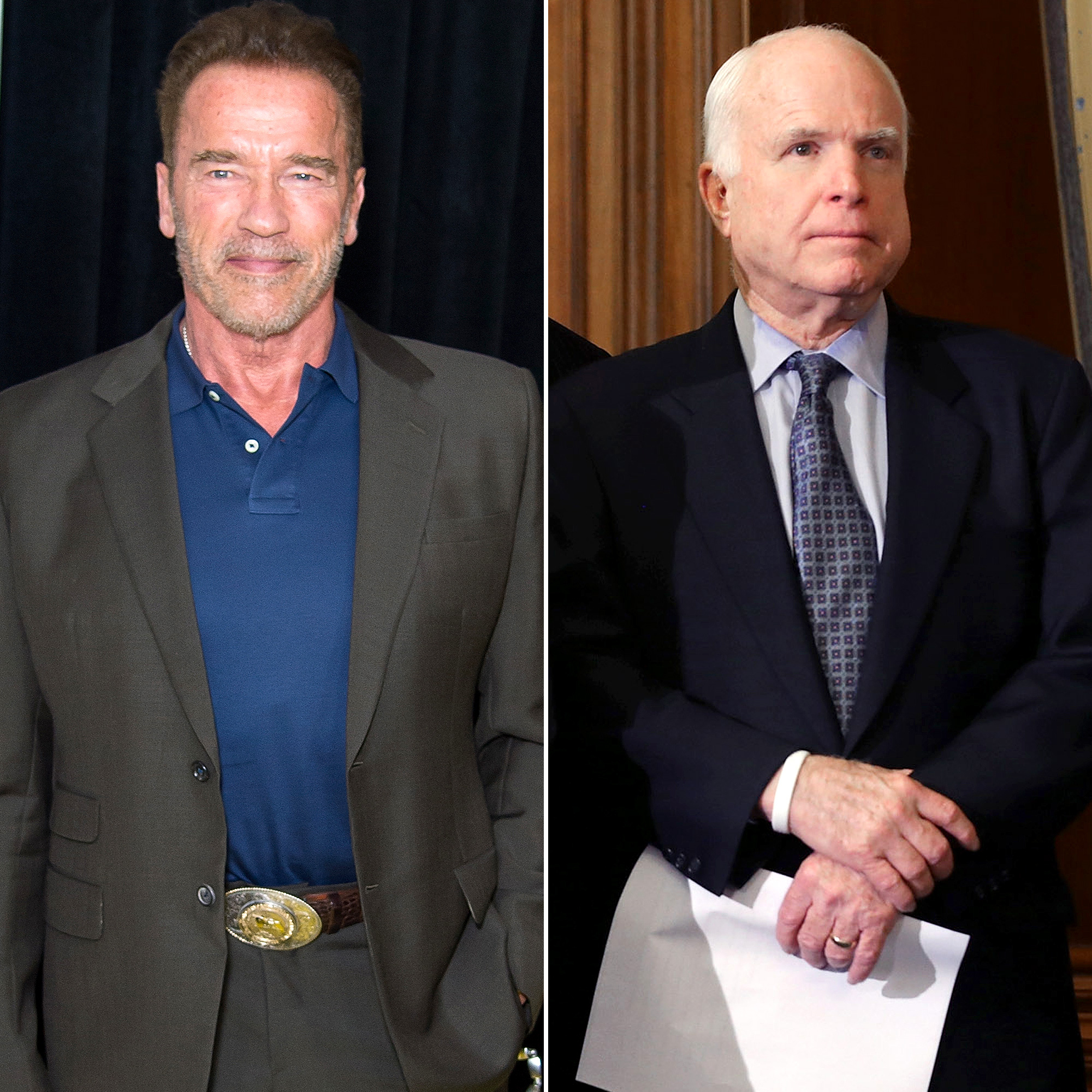 Arnold Schwarzenegger and John McCain
