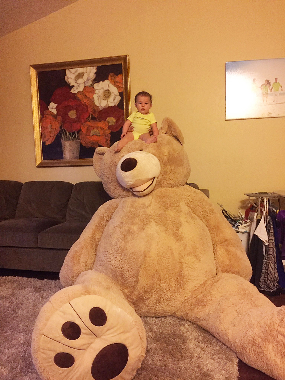 Gigantic Costco Teddy Bear