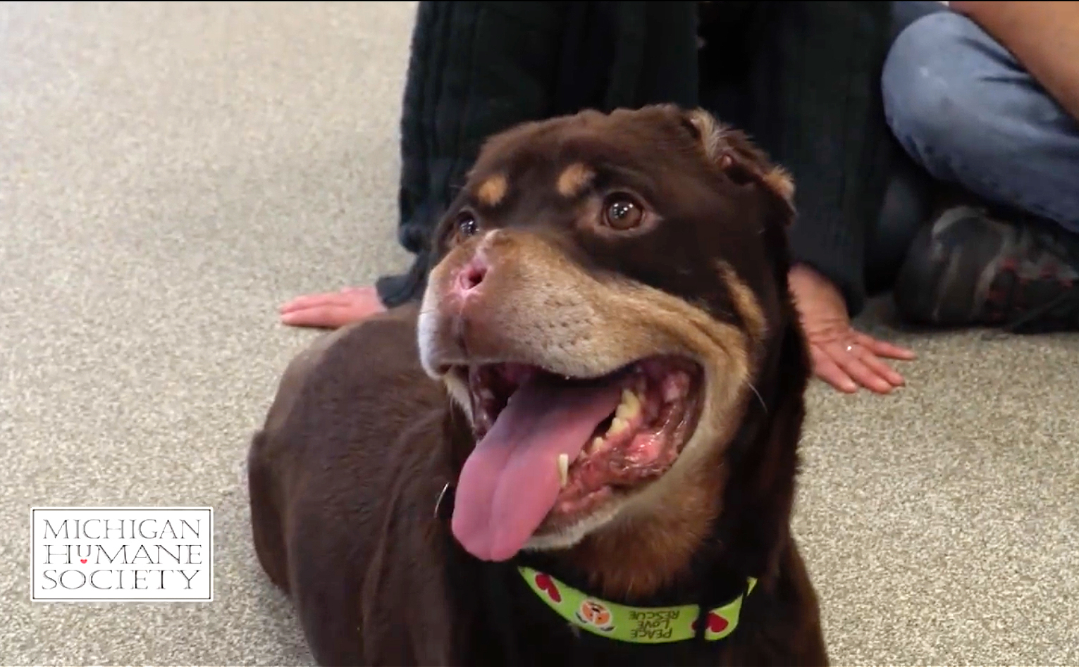 Barron1 bfc0b2e4 58ea 4305 82c9 3825b5599523