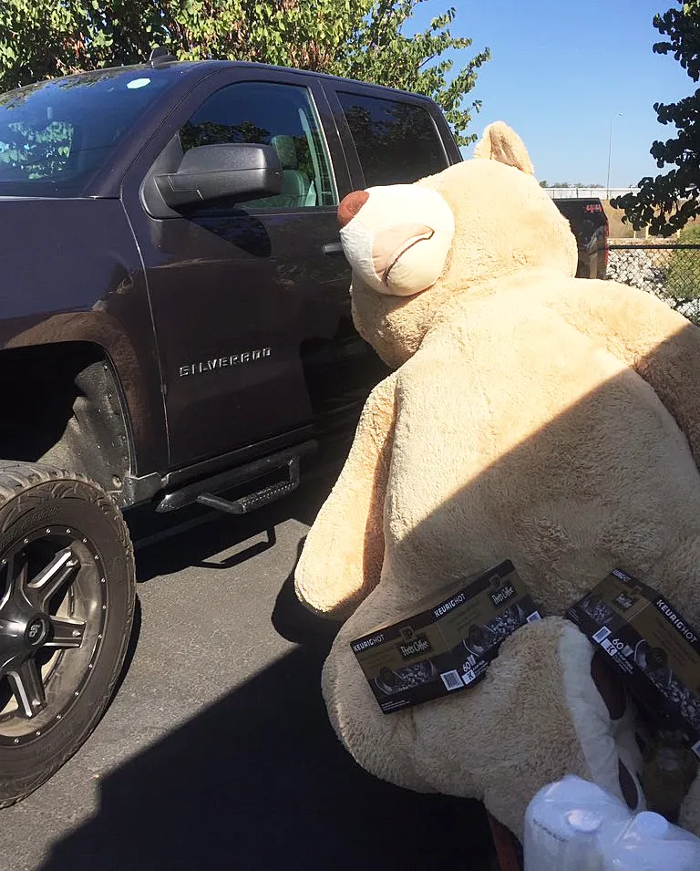 Gigantic Costco teddy bear