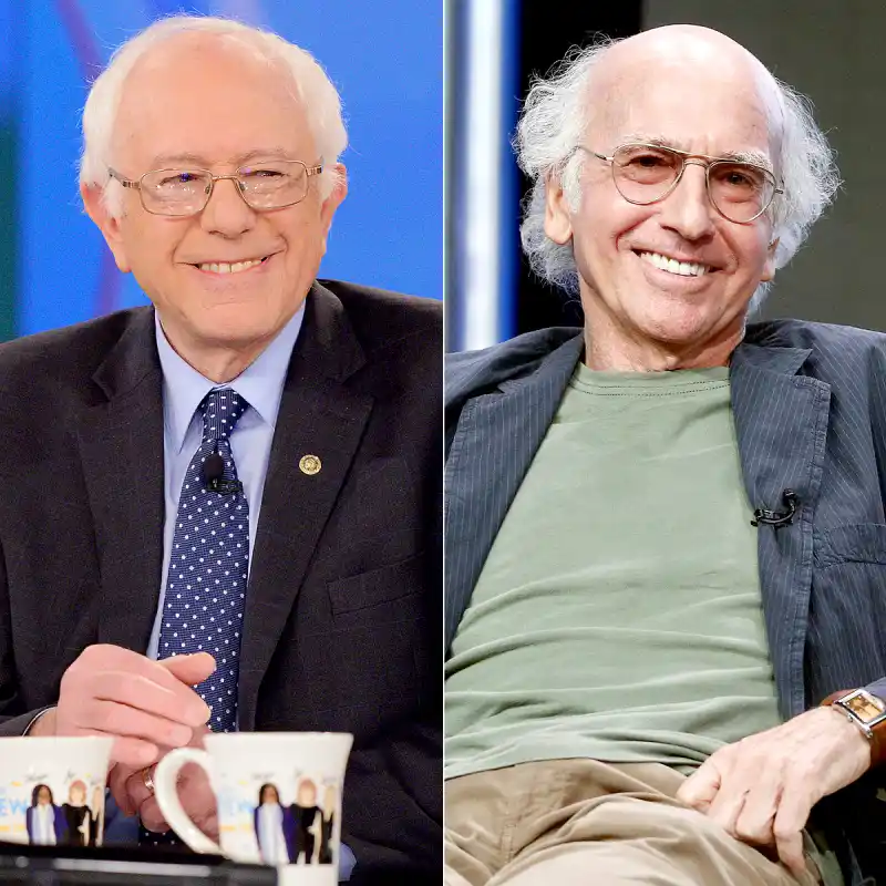 Bernie Sanders and Larry David