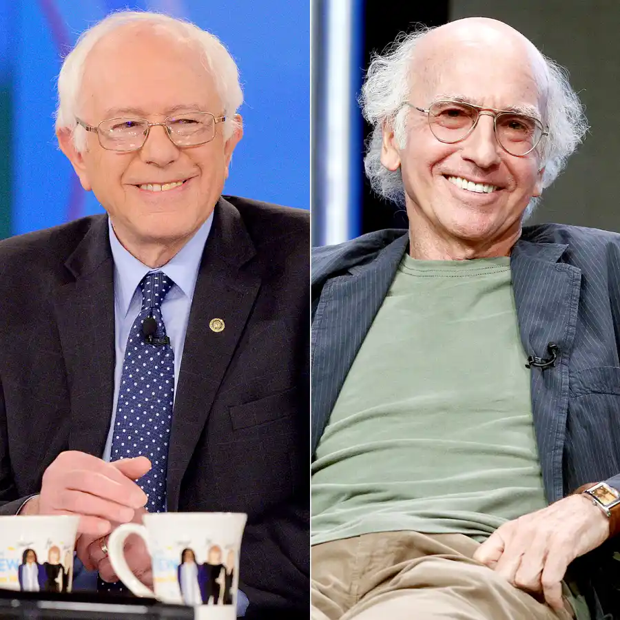 Bernie Sanders and Larry David