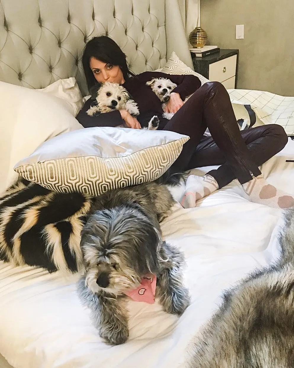 Bethenny Frankel dogs