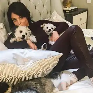 Bethenny Frankel dogs