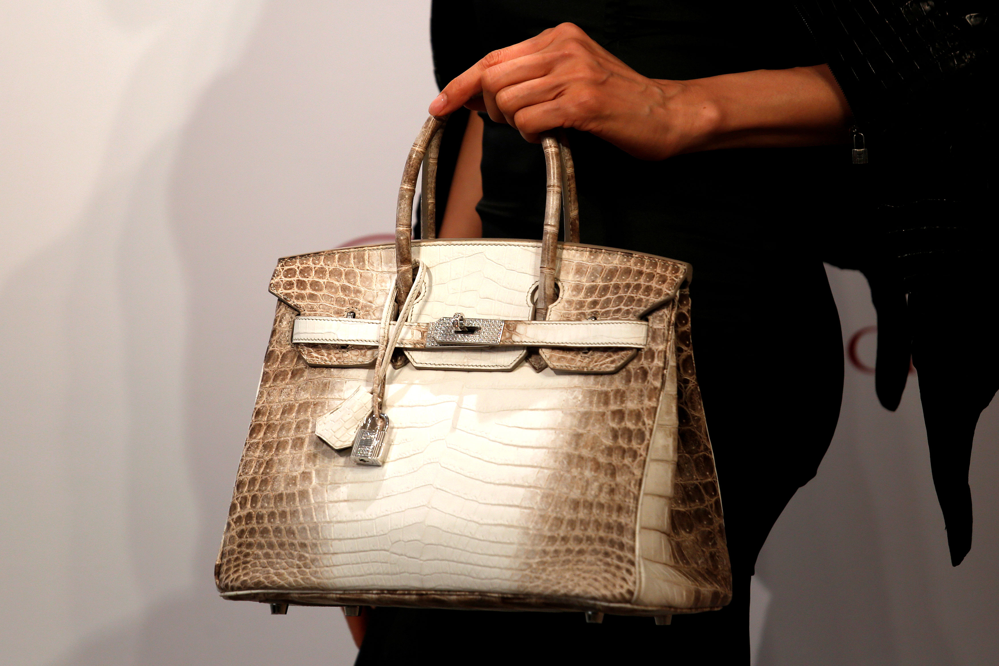 Birkin 4e63af52 cd62 48e5 ad8e 0c3e02e24b3a