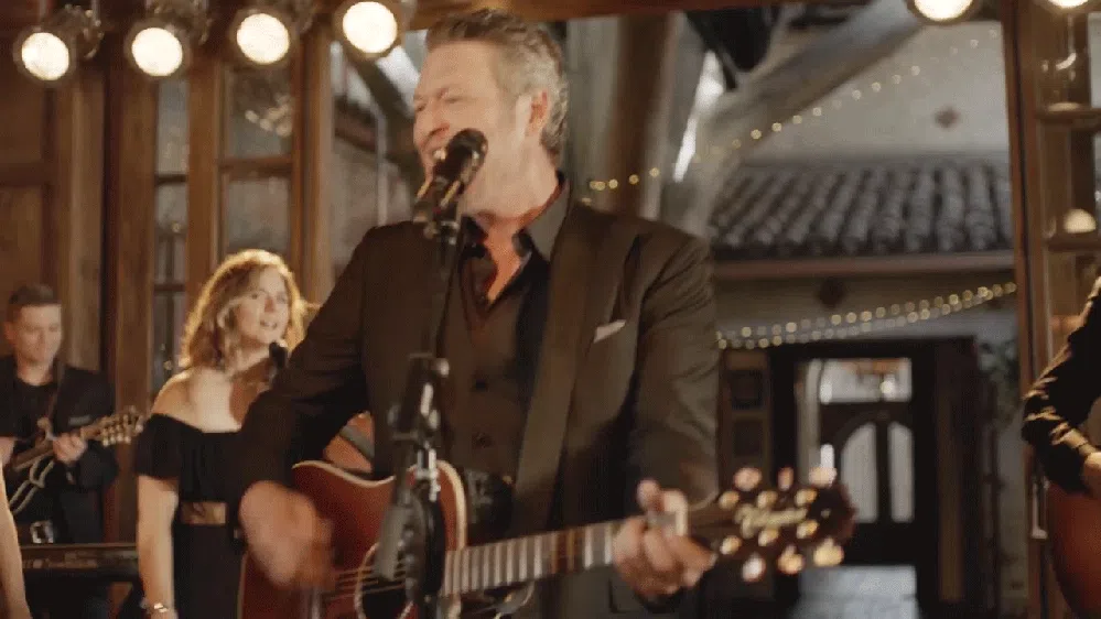 I'll Name The Dogs Blake Shelton