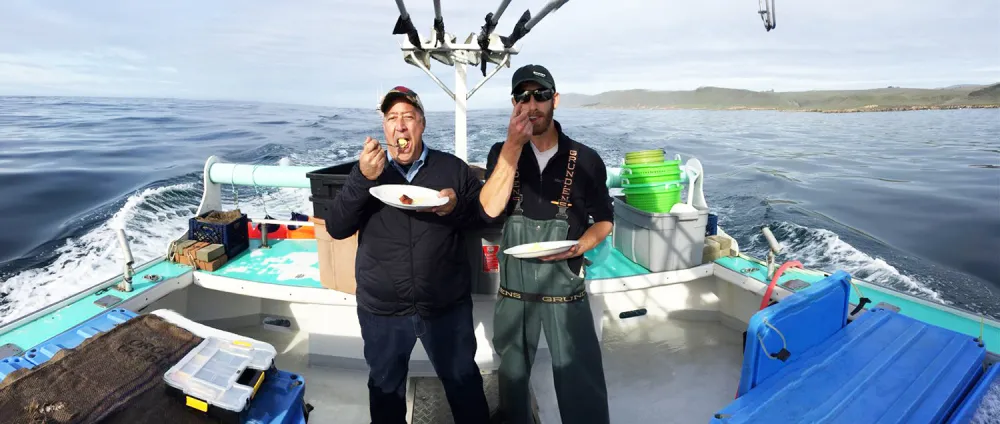 &ldquo;Breakfast at sea,&rdquo; captioned Zimmern of this shot from Morro Bay, California.