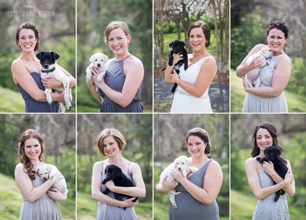Bridesmaids puppies