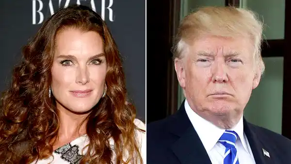 Brooke shields donald trump 26656230 6c42 49b3 8613 f6d3f63b5510