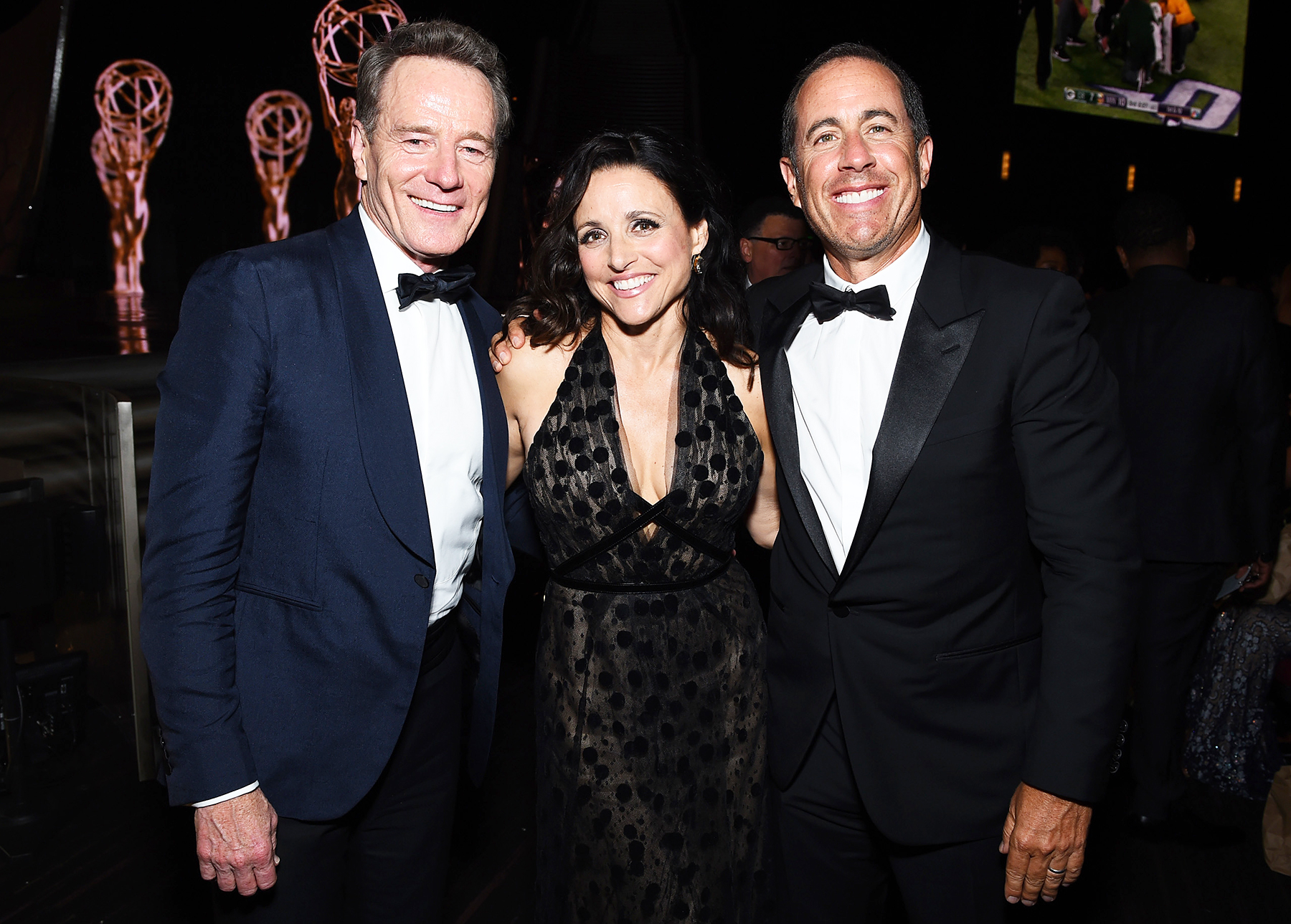 Bryan Cranston Julia Louis-Dreyfus