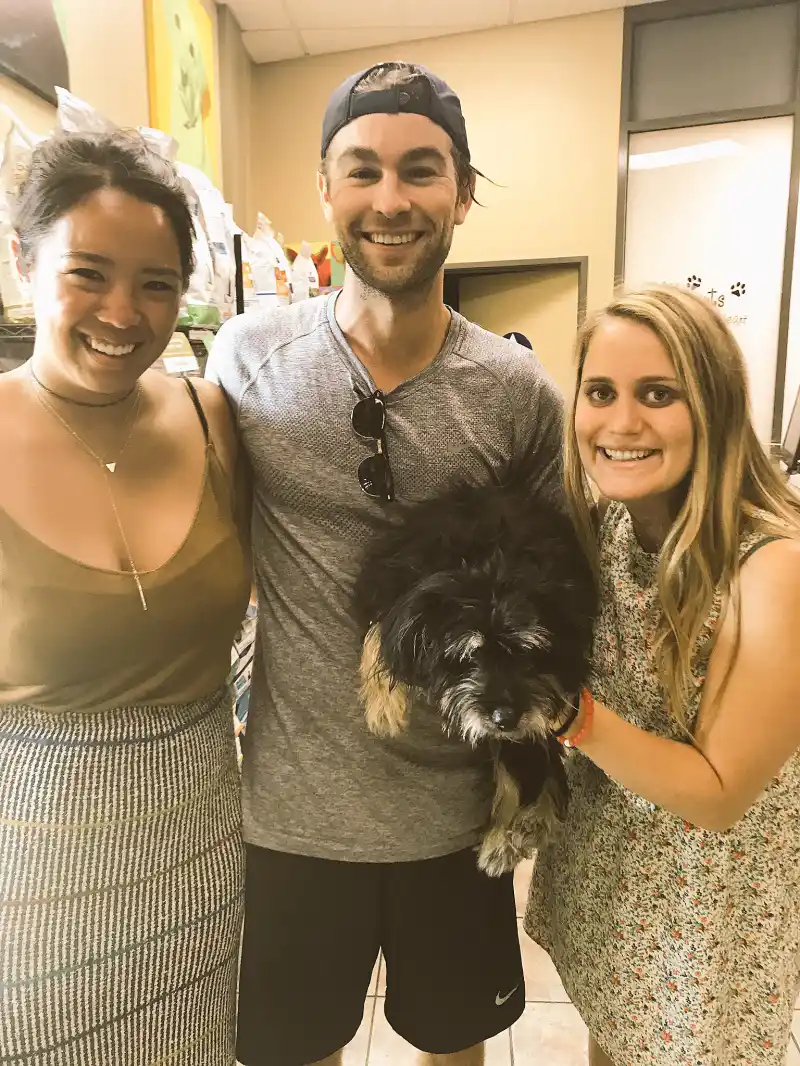 Chace Crawford lost dog