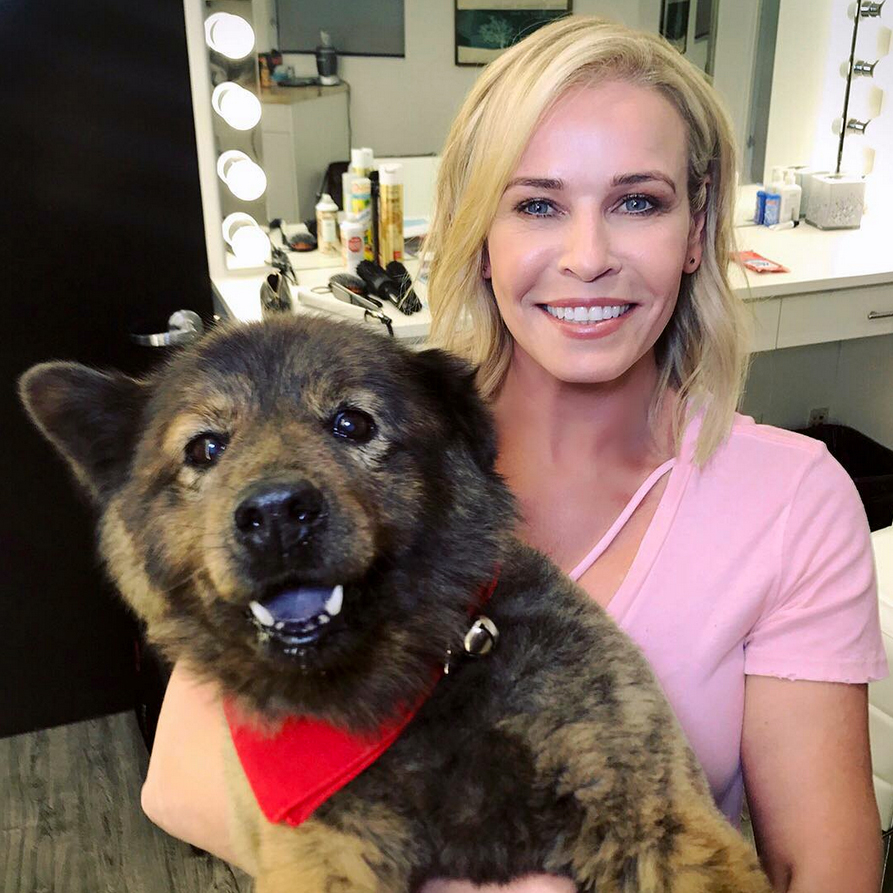 Chelsea handler dog 24ceffa6 66c1 45f5 8af9 4504e7f3a721