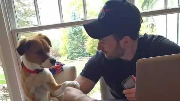 Chris Evans, Dog, Filming