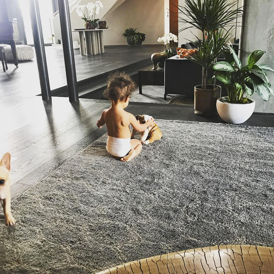 Chrissy Teigen, John Legend, Luna, Pepper, Bulldog