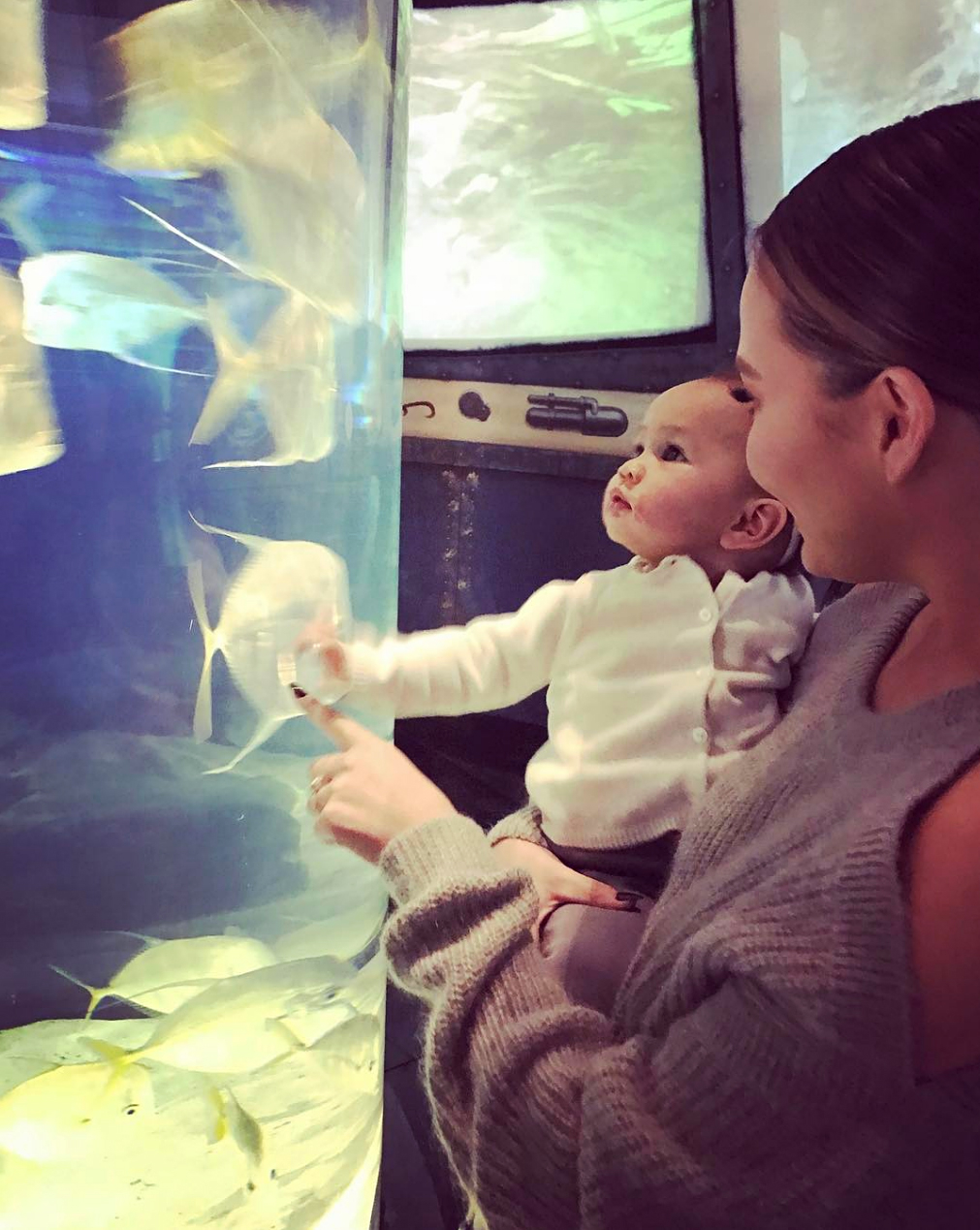 Chrissy Teigen Luna aquarium