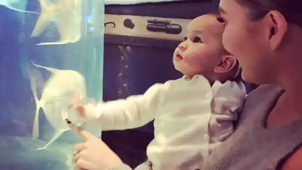 Chrissy Teigen Luna aquarium