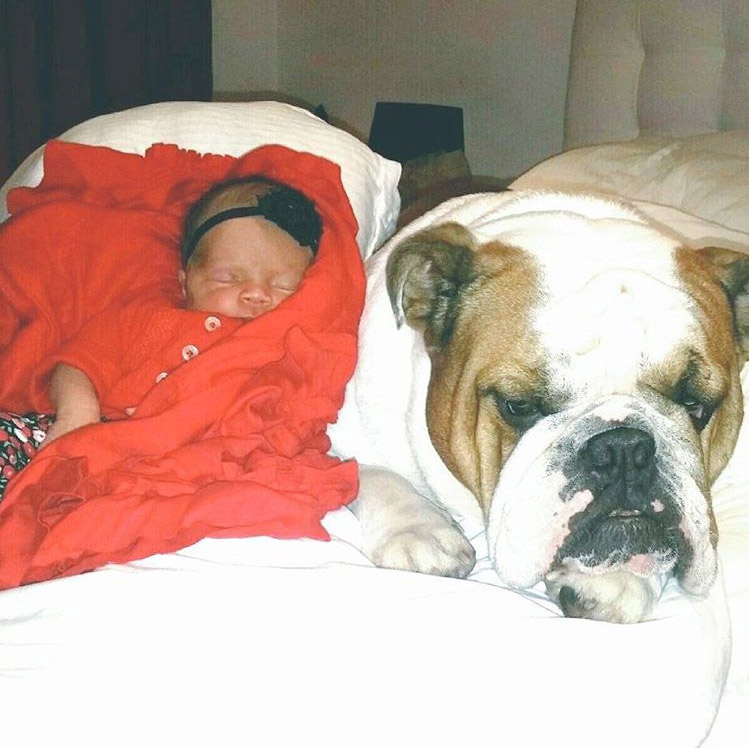 Coco baby zoom e42ec58a 938e 4126 96f4 e399d7ceefbe