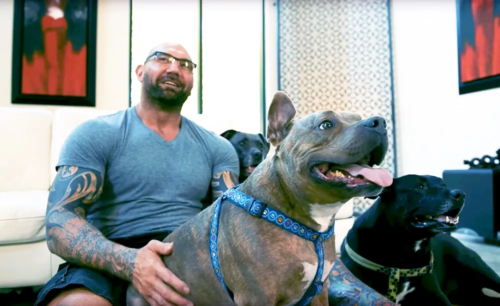 Dave Bautista