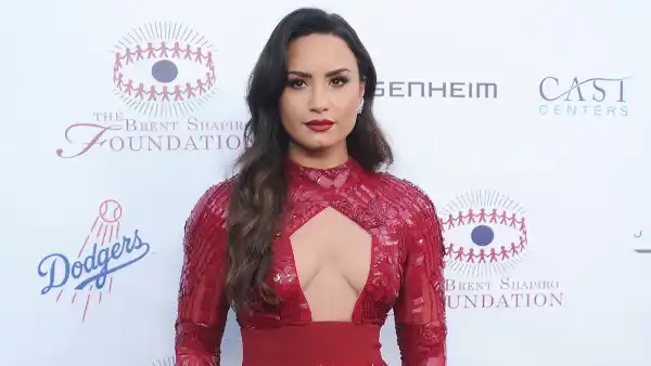 Demi Lovato, Sexuality, Irrelevant, Brent Shapiro Foundation For Alcohol And Drug Prevention