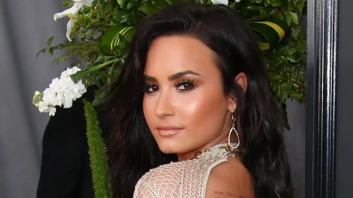 Demilovato d369e390 0fe4 4a81 a700 88dfb8f6ca6d