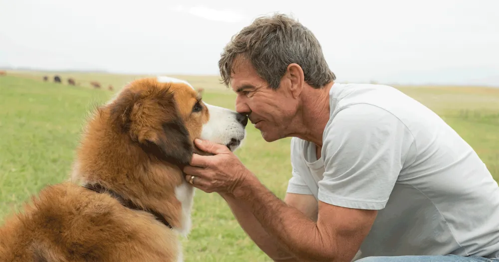 A Dog's Purpose