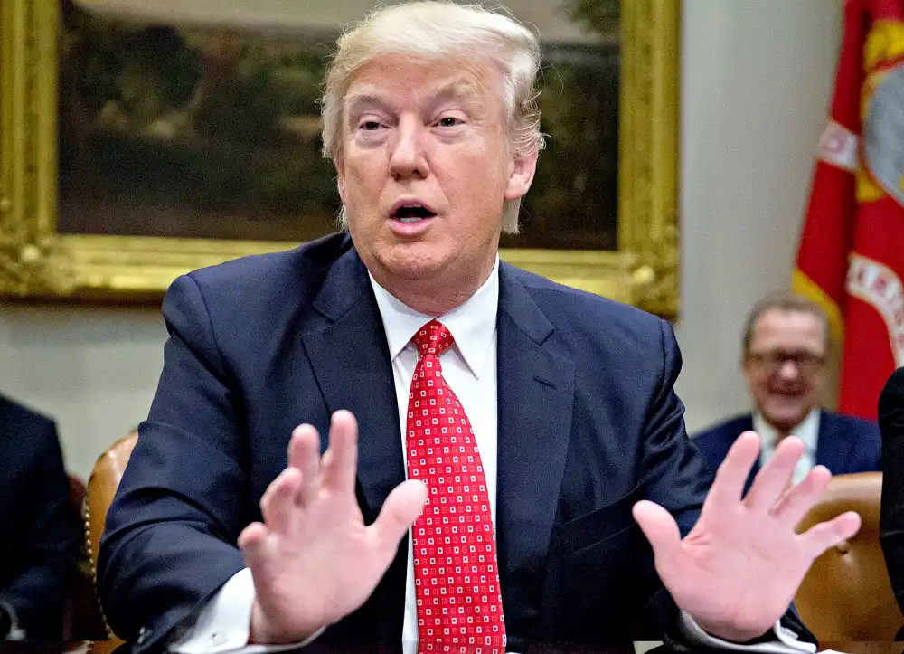 U.S. President Donald Trump speaks as he meets with county sheriffs during a listening session in the Roosevelt Room of the White House on February 7, 2017 in Washington, DC.