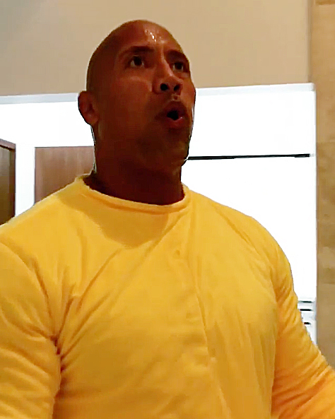 Dwayne Johnson The Rock