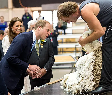 prince william and kate