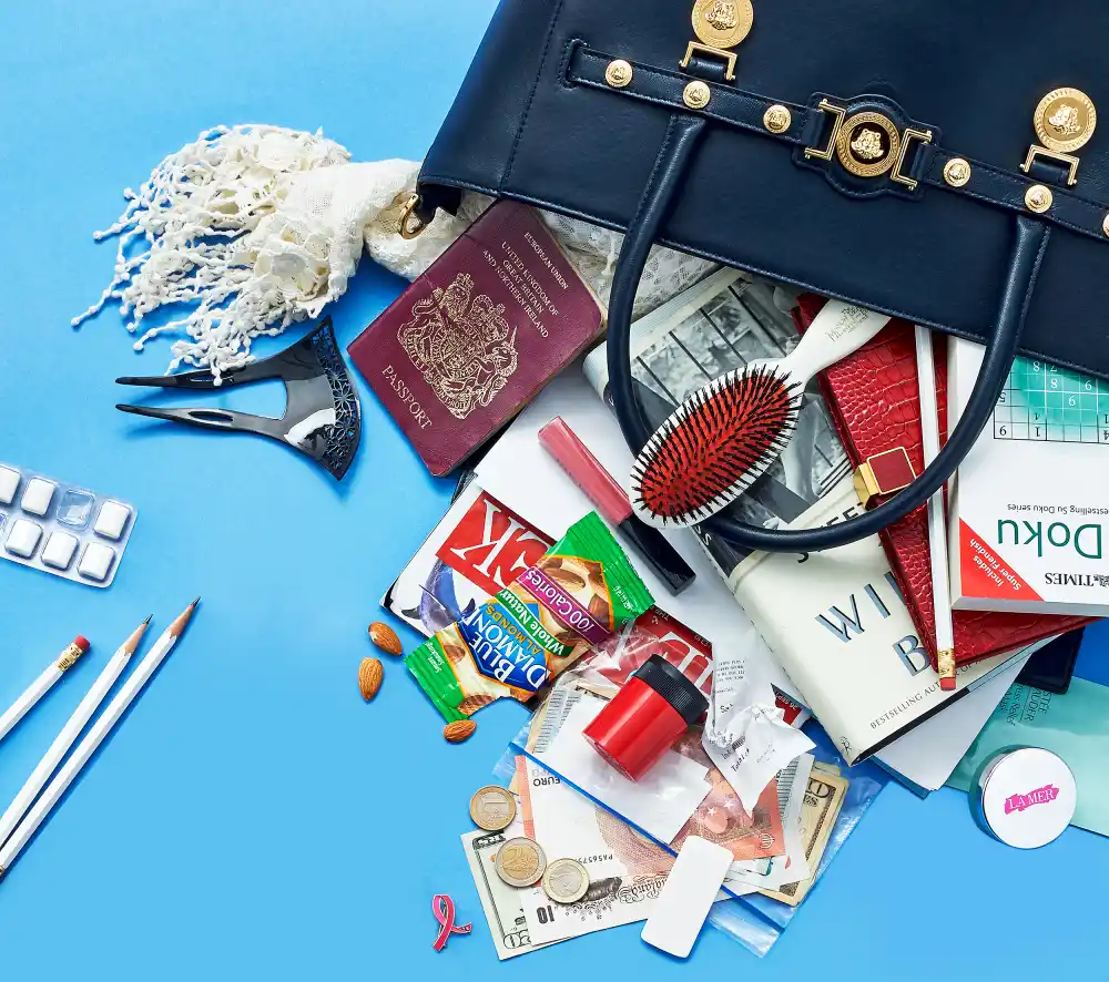 Elizabeth Hurley's bag