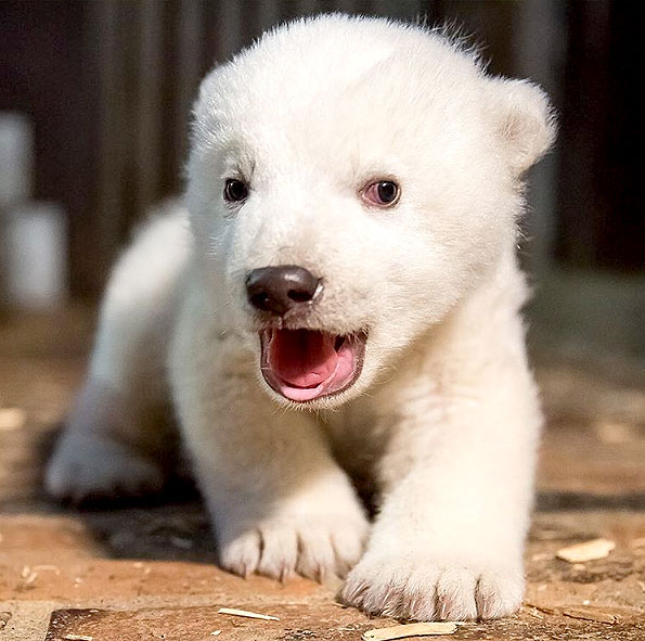 Fritz f7bd3c59 f540 4ddb b8ec bbfb0b9a6c81