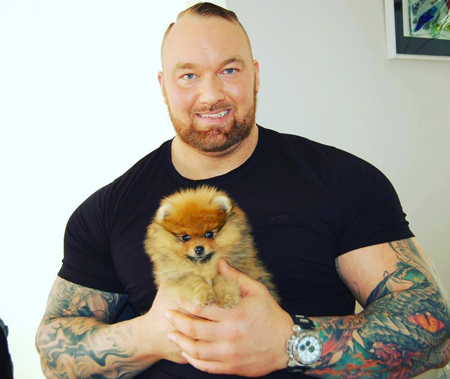 Hafprr 1d377e16 f5a5 4ed5 b8e6 be63cb6e908a