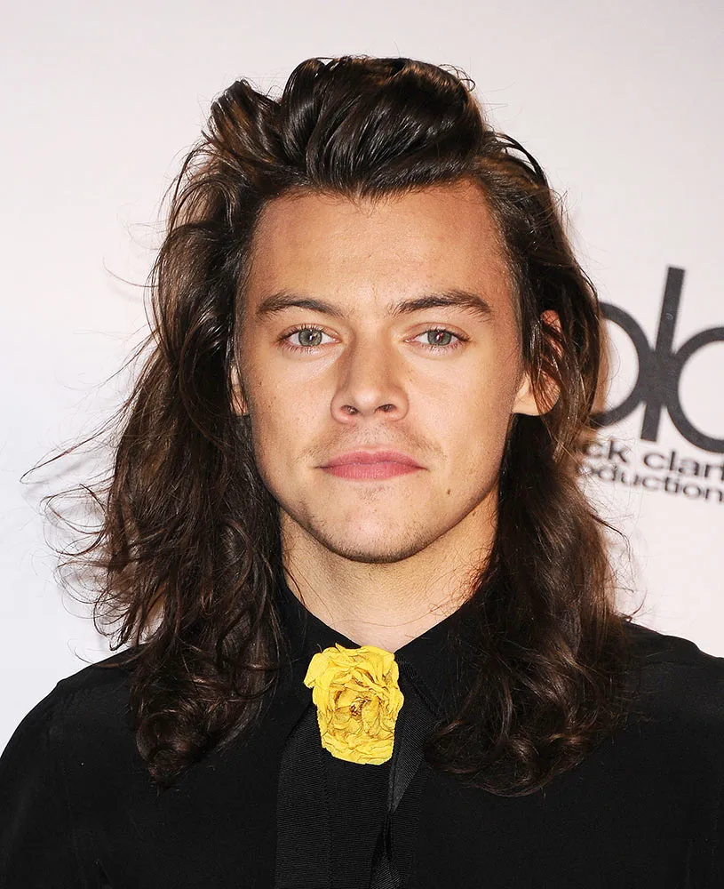 Harry Styles