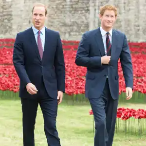 Harry william d81206f0 f6e7 4ff7 afbf 60ea04d16952