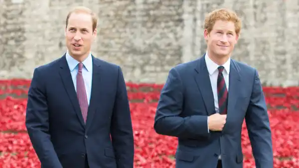 Harry william d81206f0 f6e7 4ff7 afbf 60ea04d16952