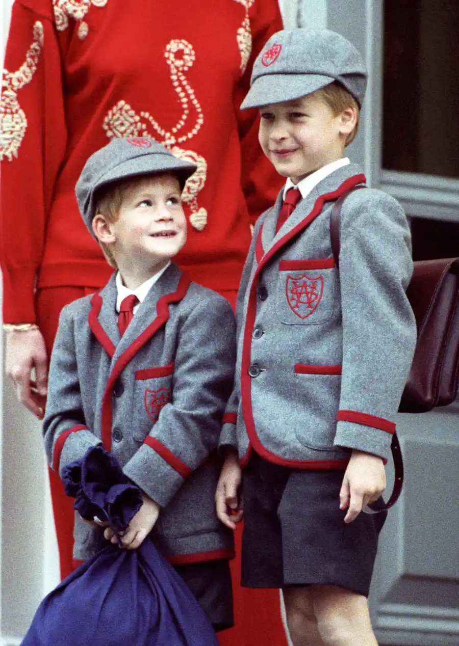 Head 565034ae 9674 46c8 a1d0 178ca69ea51c