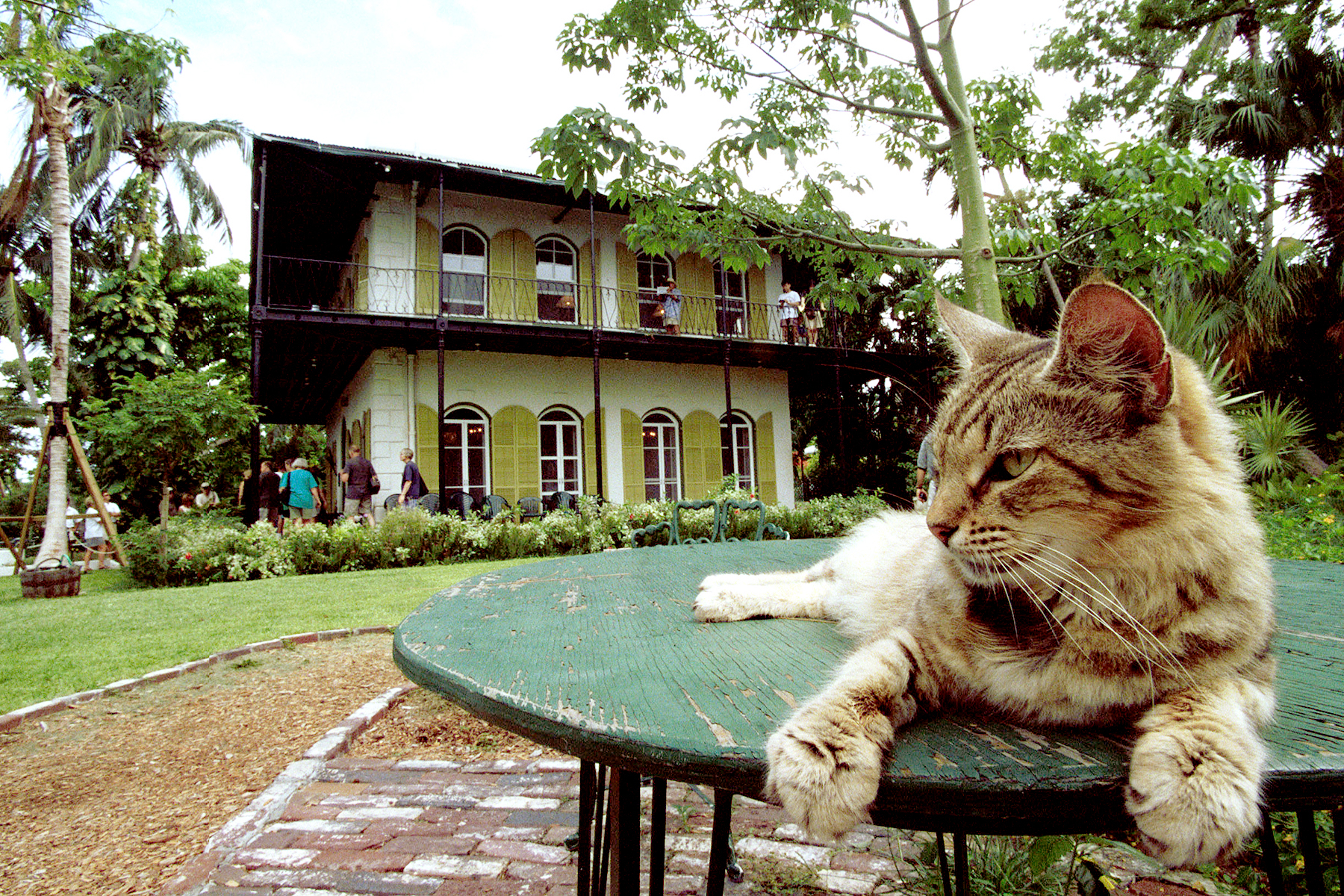 A cat rests on a table in the garden of American author Ernest Hemingway''s home June 15, 1999 in Key West, Florida.